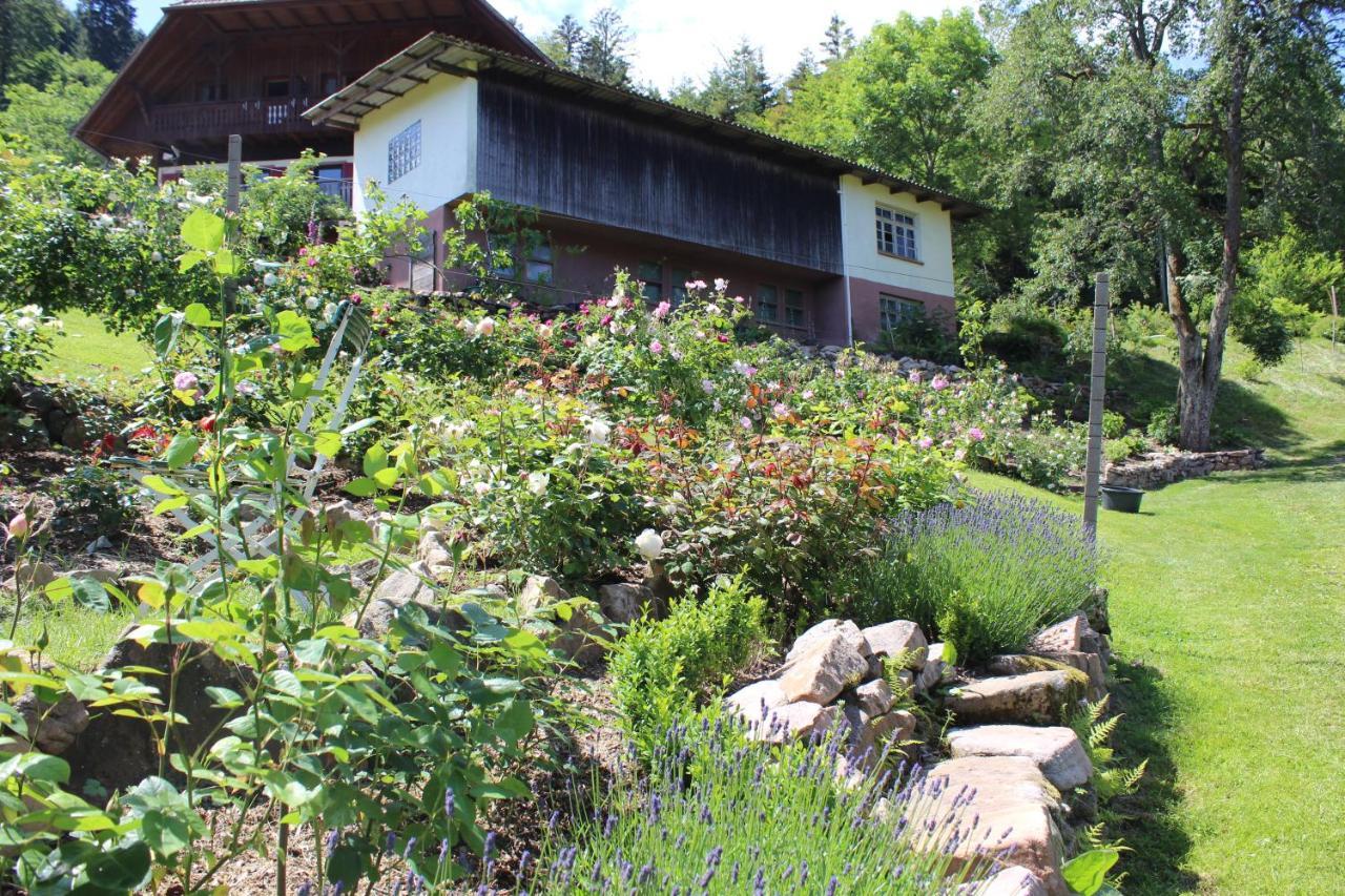 The Moosbach Garden Casa de hóspedes Nordrach Exterior foto